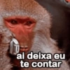 ERA IRONIA 11
