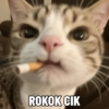 ROKOK CIK