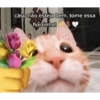 caso não esteja bem, tome essa florzinha!
