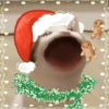 Hewan christmas natal cat 9