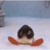 MEMES DO PINGU 13