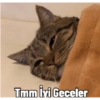 Tmm İyi Geceler
