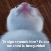 Te sigo cayendo bien? Es que me entró la inseguridad