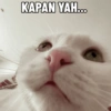 KAPAN YAH...
