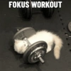 FOKUS WORKOUT