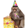 Para el cumpleañer@ 💀 13