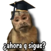 Monitos para graduados 🎓 7