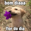 Moods: bom dia, tarde, noite 5