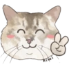@KiwiBritishCat 14