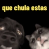 Frases perrunas cool 13