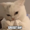 GREGETAN!