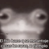 Memes con texto 7🏝️👀 13