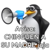 💢🐧Pingüinos Shitpost II🐧💢 11