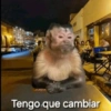 Memes 33 18