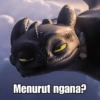 Toothless & Lightfury 9