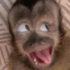 MICADA 5