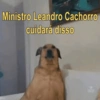 ERA IRONIA 14
