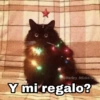 Y mi regalo?