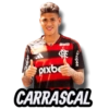Flamengo jogadores #flamengo 33