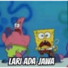 CO LARI ADA JAWA