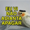 MELHORES MEMES IRÔNICOS  6