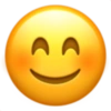 Emoji iphone 13