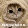 Frío ✨❄️☃️MEMES 13