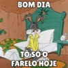 BOM DIA TÔ SÓC FARELO HOJE