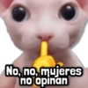No, no, mujeres no opinan