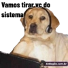 Vamos tirar ve do sistema AhNegão.com.br