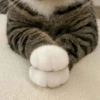 Cat & dog #1 26