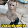 Moods: bom dia, tarde, noite 13