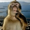 Reaction pics 17