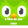 Duolingo 5