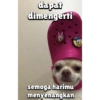 dapat
dimengerti
semoga harimu
menyenangkan