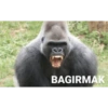 BAGIRMAK