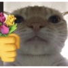 Kucing imoet 15