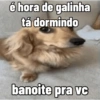 Moods: bom dia, tarde, noite 11