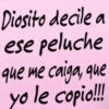 ese Diosito decile a peluche que me caiga, que yo le copio!!!