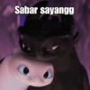 Toothless & Lightfury 5