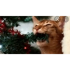 Gatos de navidad y de perros 20