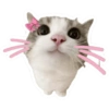 Sticker cute aesthetic  7