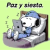 Paz y siesta. Z Z Z Z Pnd