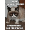 Talking cat 22