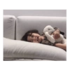 Bb coreana 25