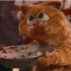 Garfield vol.2 🐈🐾 24