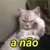 a não