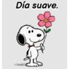 Día suave.