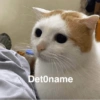 Memes 33 22