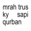 mrah trus ky sapi qurban